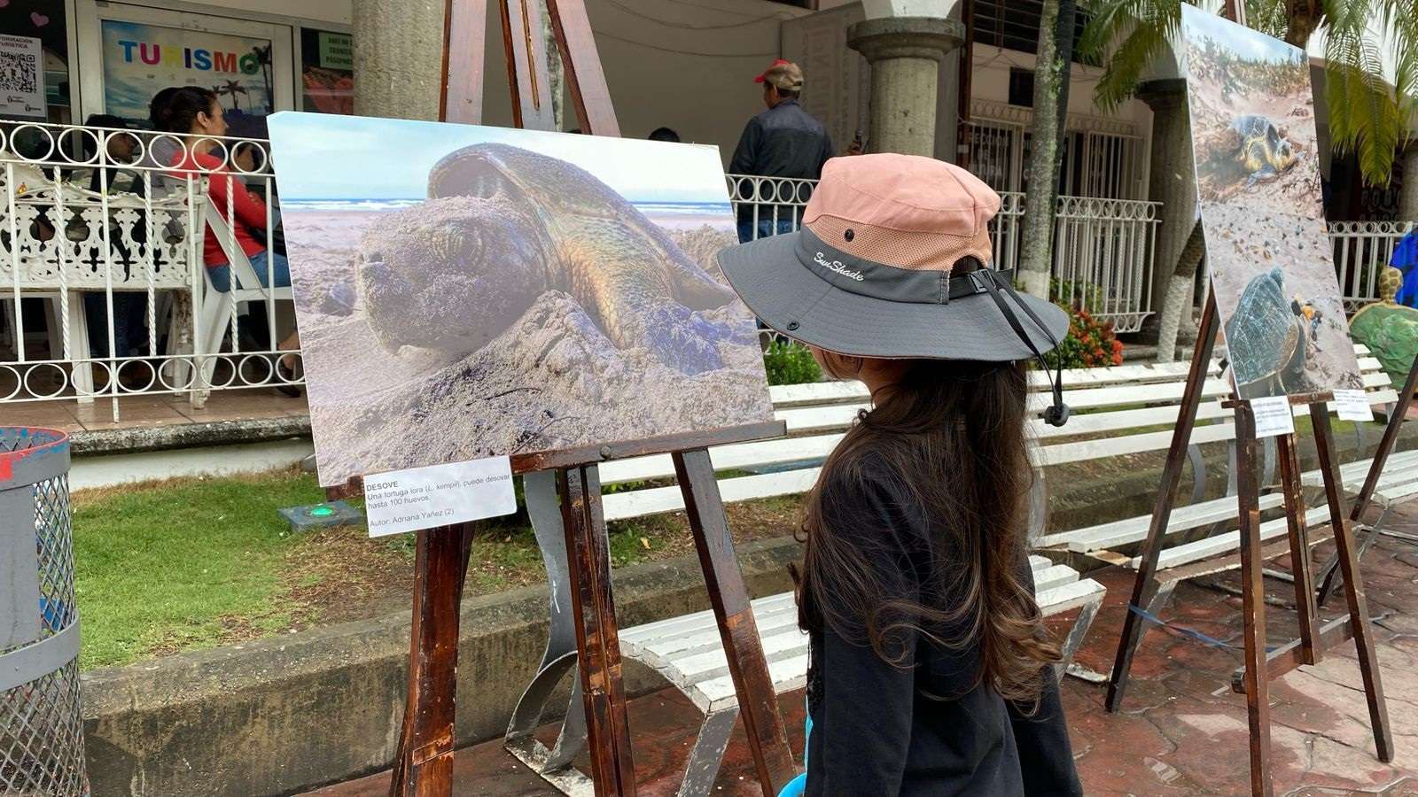 Realizan Exposici N Fotogr Fica Pol Ticos Al Desnudo